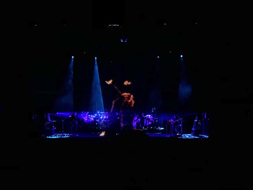 IMG_0252.jpeg