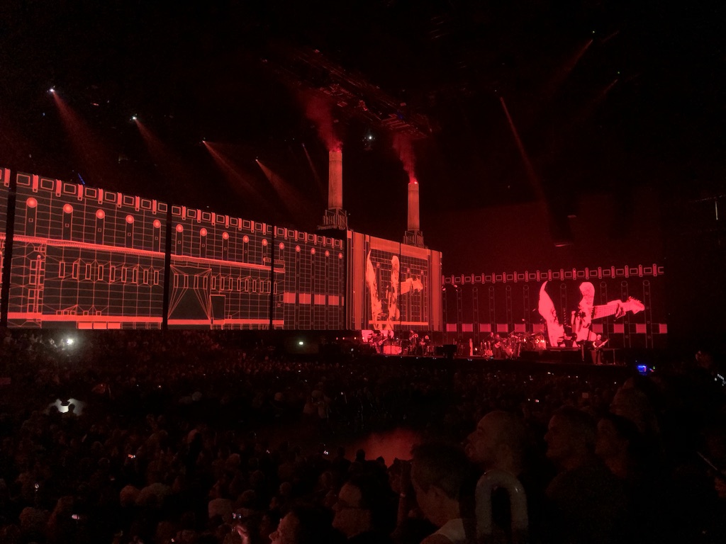 IMG_0689.jpeg