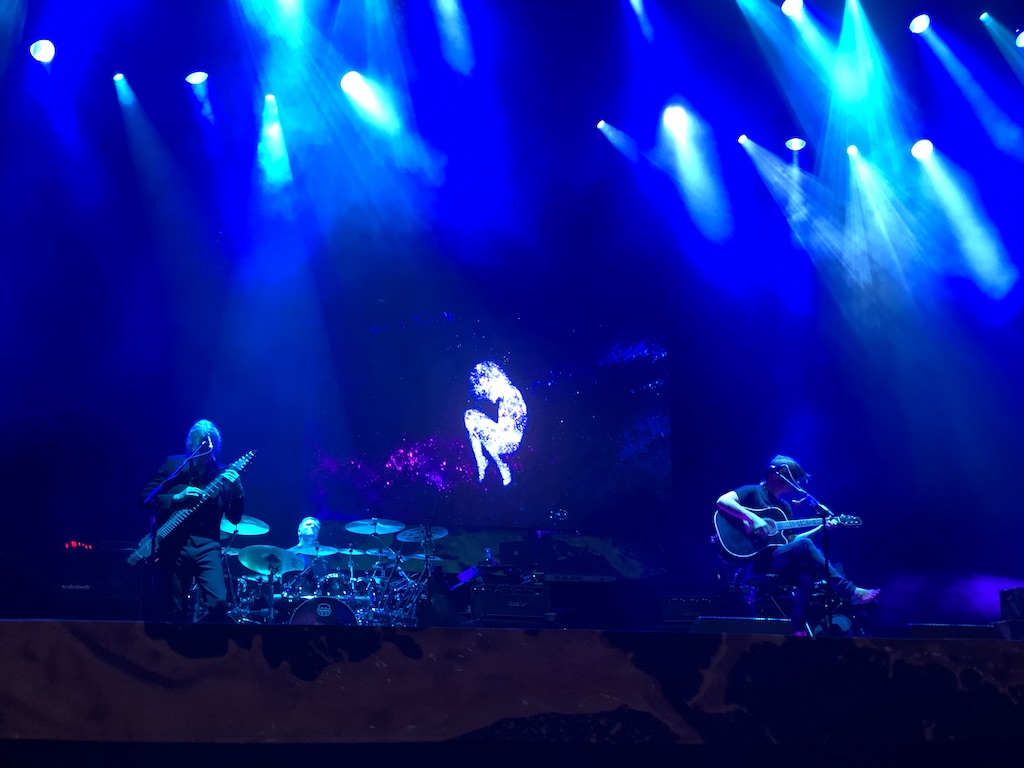 IMG_0911.jpeg