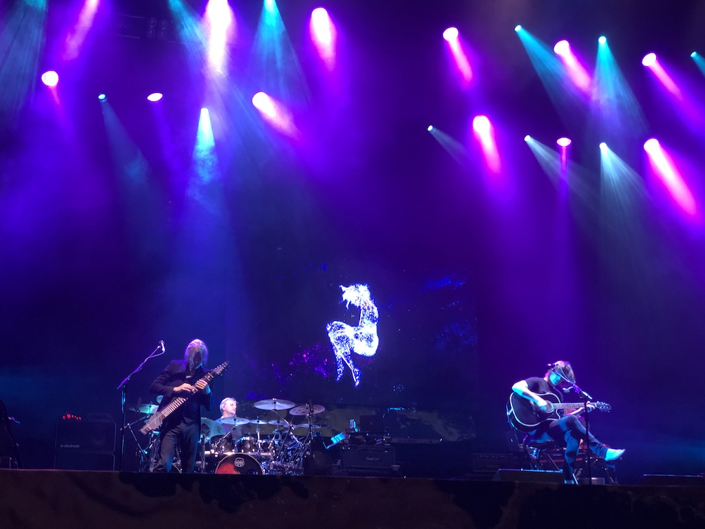 IMG_0913.jpeg