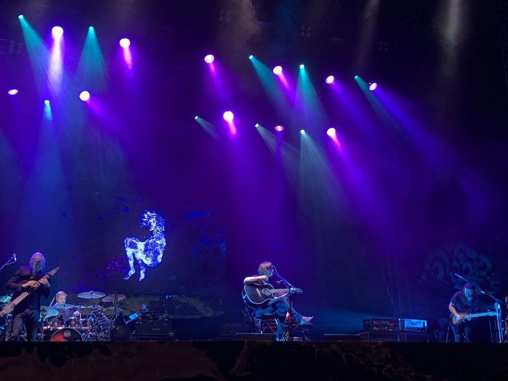 IMG_0915.jpeg
